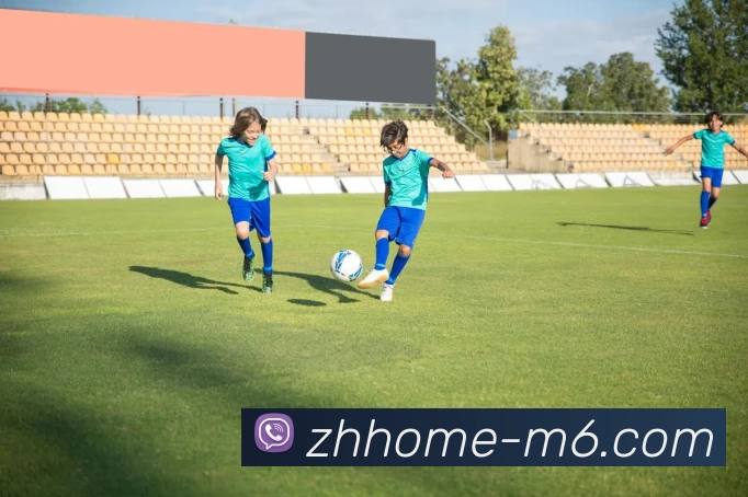 M11体育投注平台APP 封面图